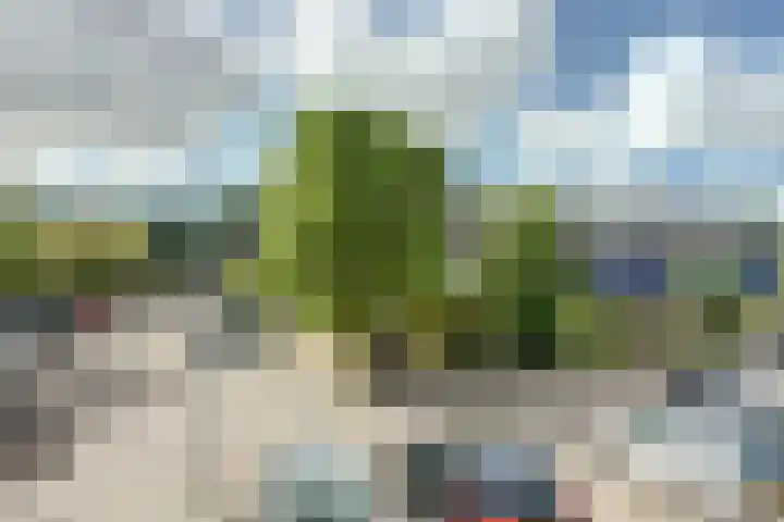 Notenhof 30 Schagen thumbnail 36