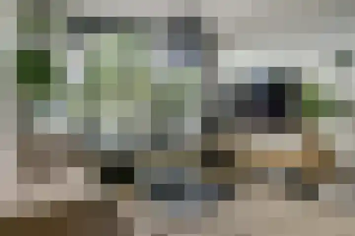 Notenhof 30 Schagen thumbnail 4