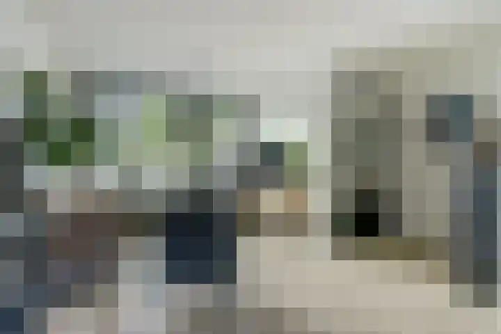 Notenhof 30 Schagen thumbnail 5