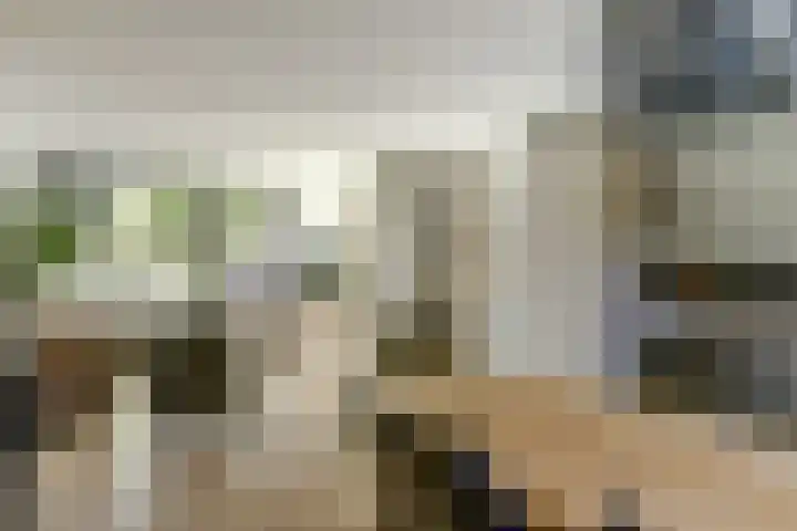 Notenhof 30 Schagen thumbnail 6