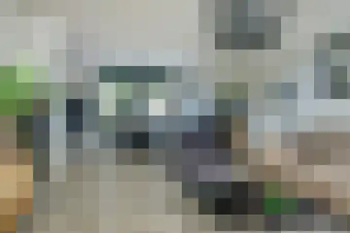 Notenhof 30 Schagen thumbnail 7
