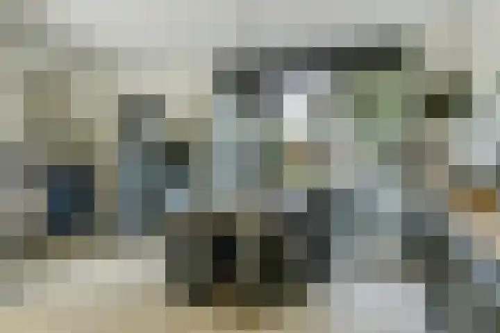 Notenhof 30 Schagen thumbnail 8
