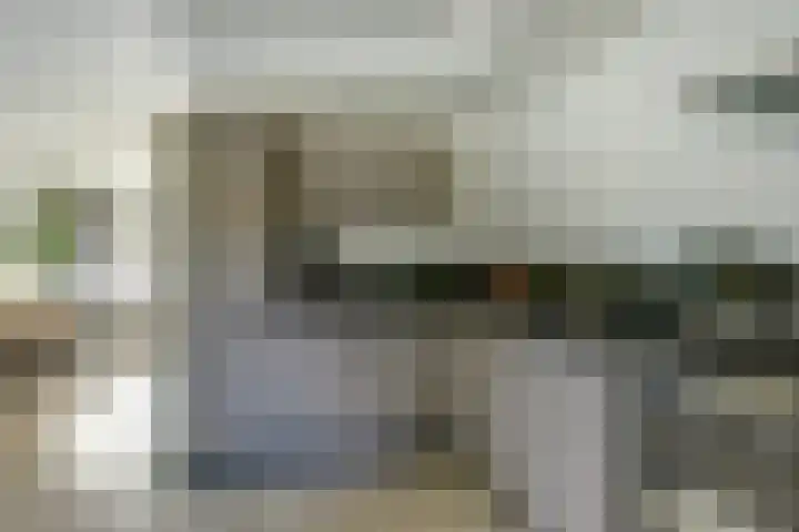 Notenhof 30 Schagen thumbnail 9