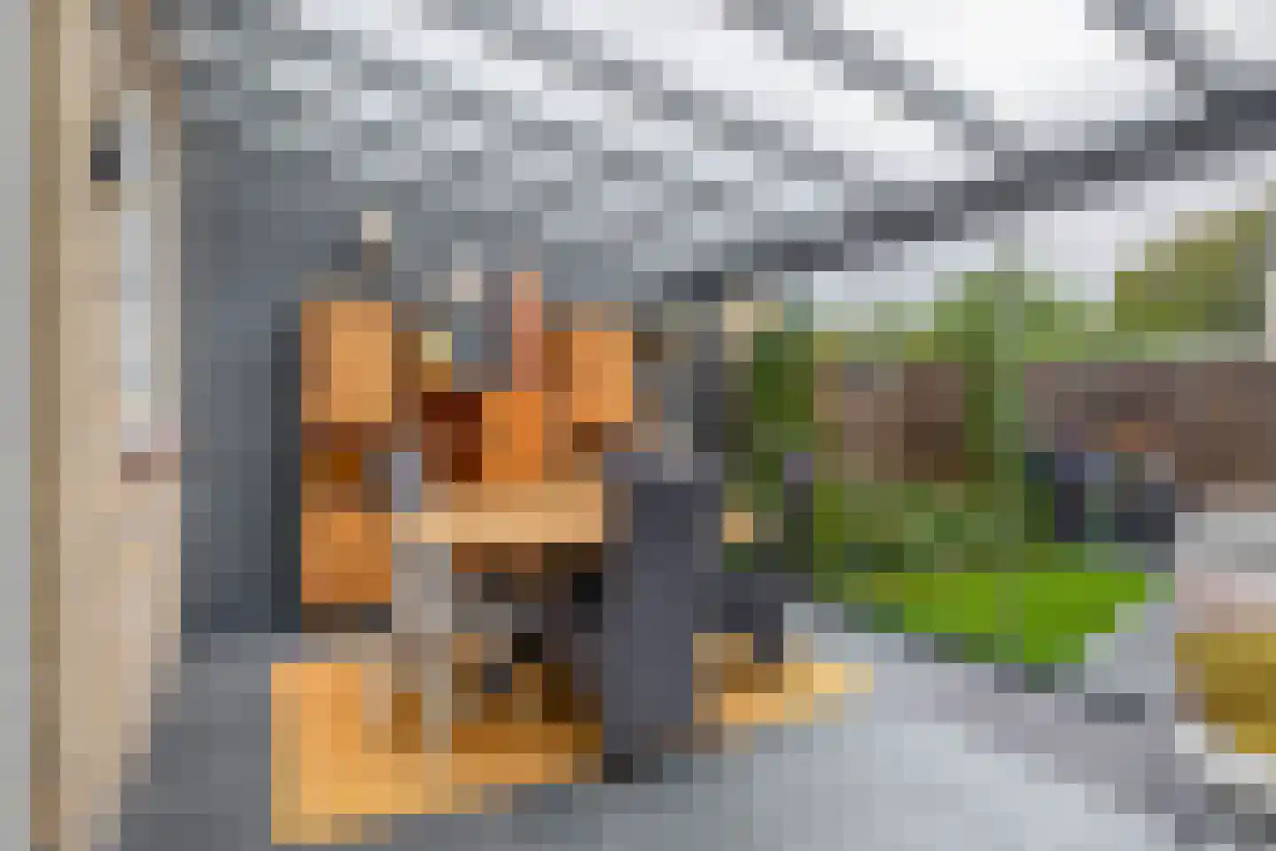Notenhof 44 Schagen thumbnail 17