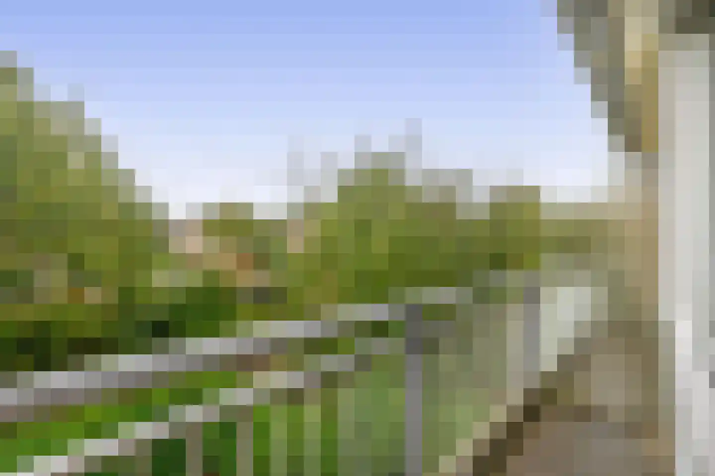 Notenhof 44 Schagen thumbnail 27