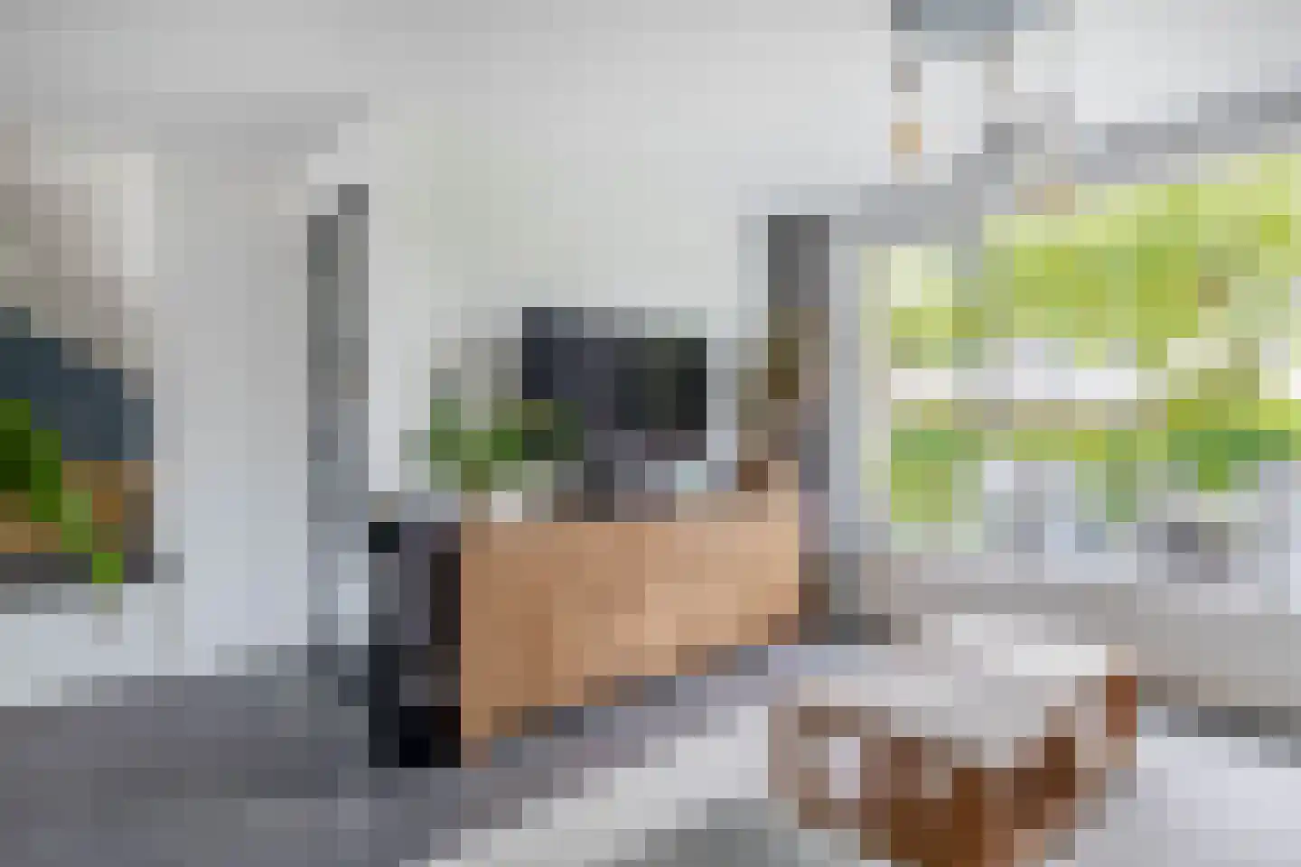 Notenhof 44 Schagen thumbnail 5