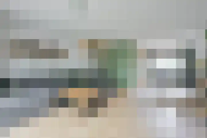 Notenhof 81 Schagen thumbnail 10
