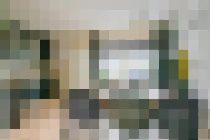 Notenhof 81 Schagen thumbnail 11