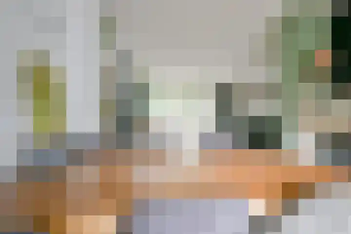 Notenhof 81 Schagen thumbnail 12