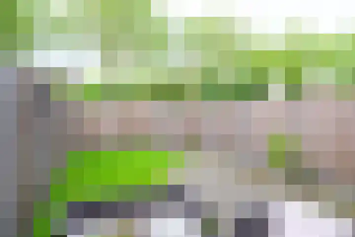 Notenhof 81 Schagen thumbnail 6