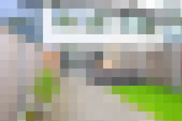 Notenhof 81 Schagen thumbnail 9