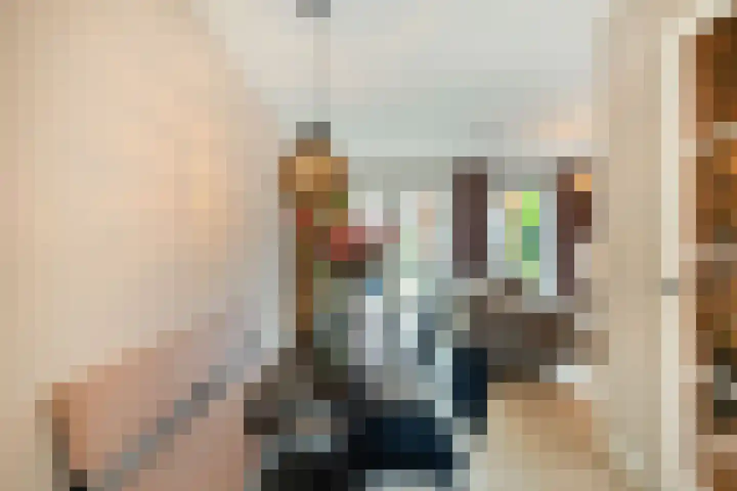 Notenhout 15 Julianadorp thumbnail 11