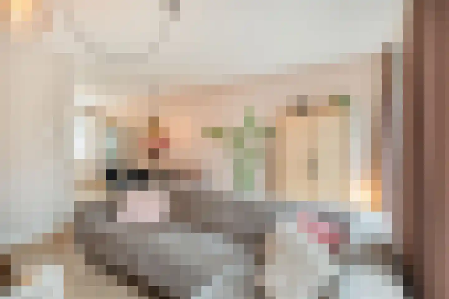 Notenhout 15 Julianadorp thumbnail 13