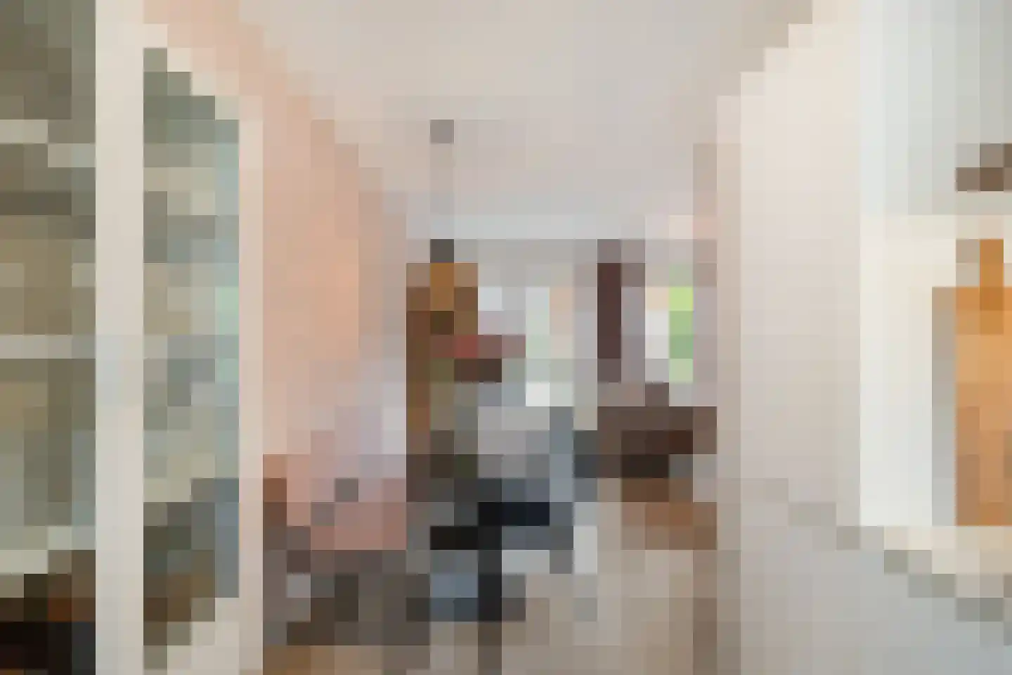 Notenhout 15 Julianadorp thumbnail 16