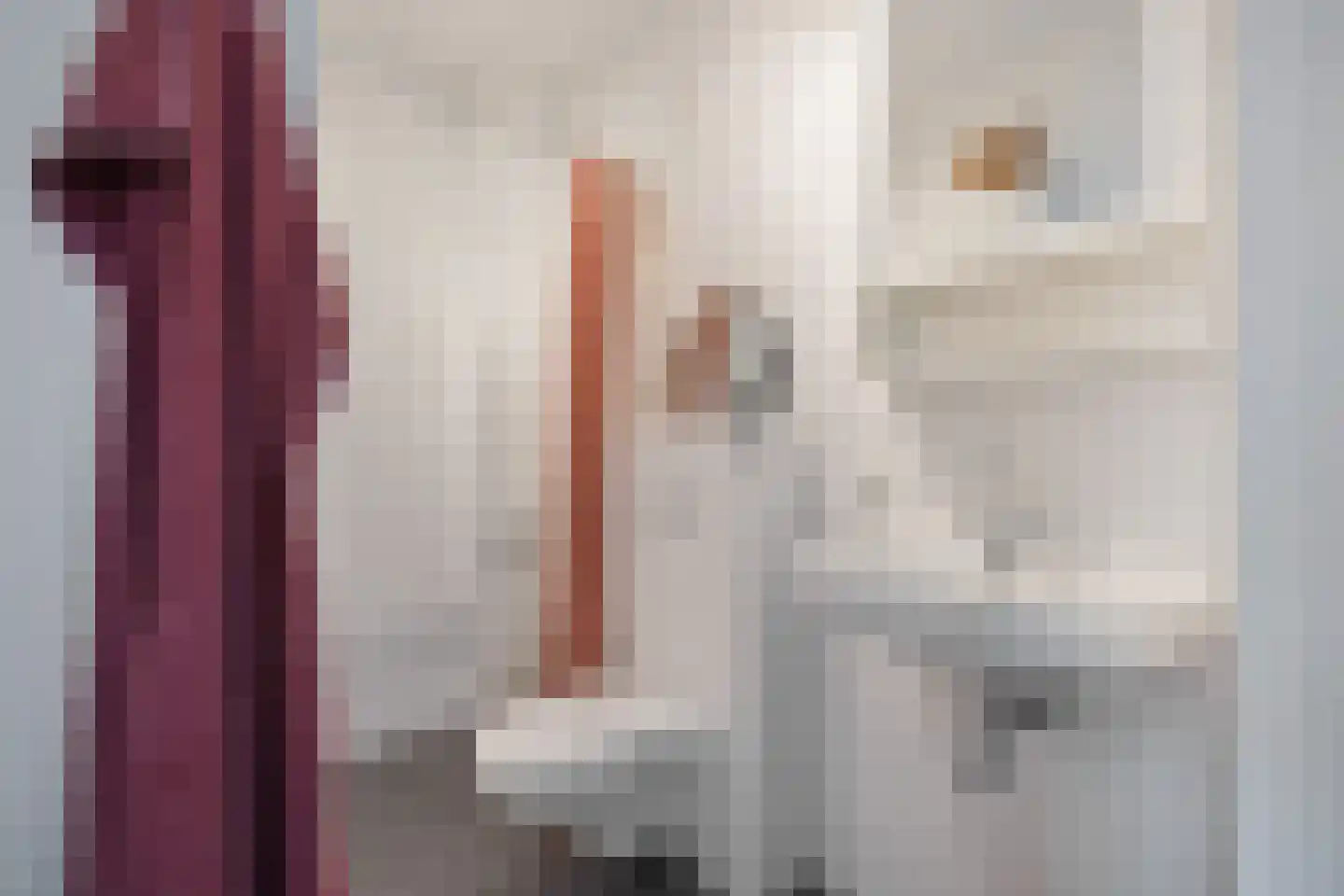 Notenhout 15 Julianadorp thumbnail 25