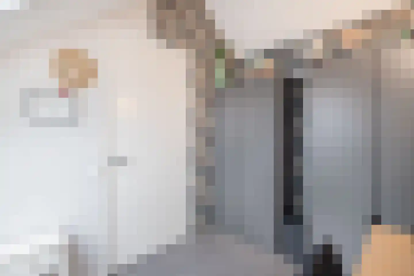 Notenhout 15 Julianadorp thumbnail 32