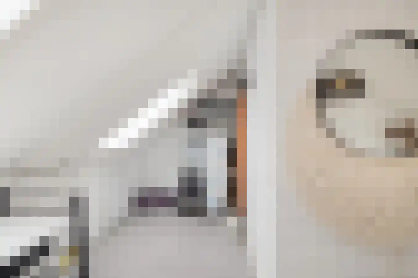 Notenhout 15 Julianadorp thumbnail 33