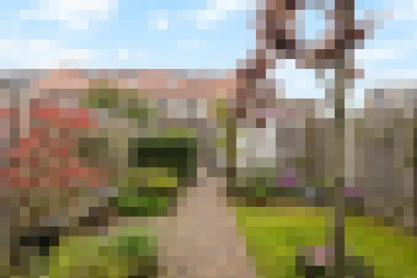 Notenhout 15 Julianadorp thumbnail 35