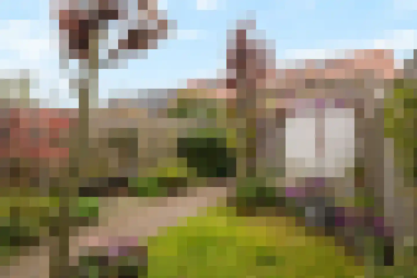 Notenhout 15 Julianadorp thumbnail 36