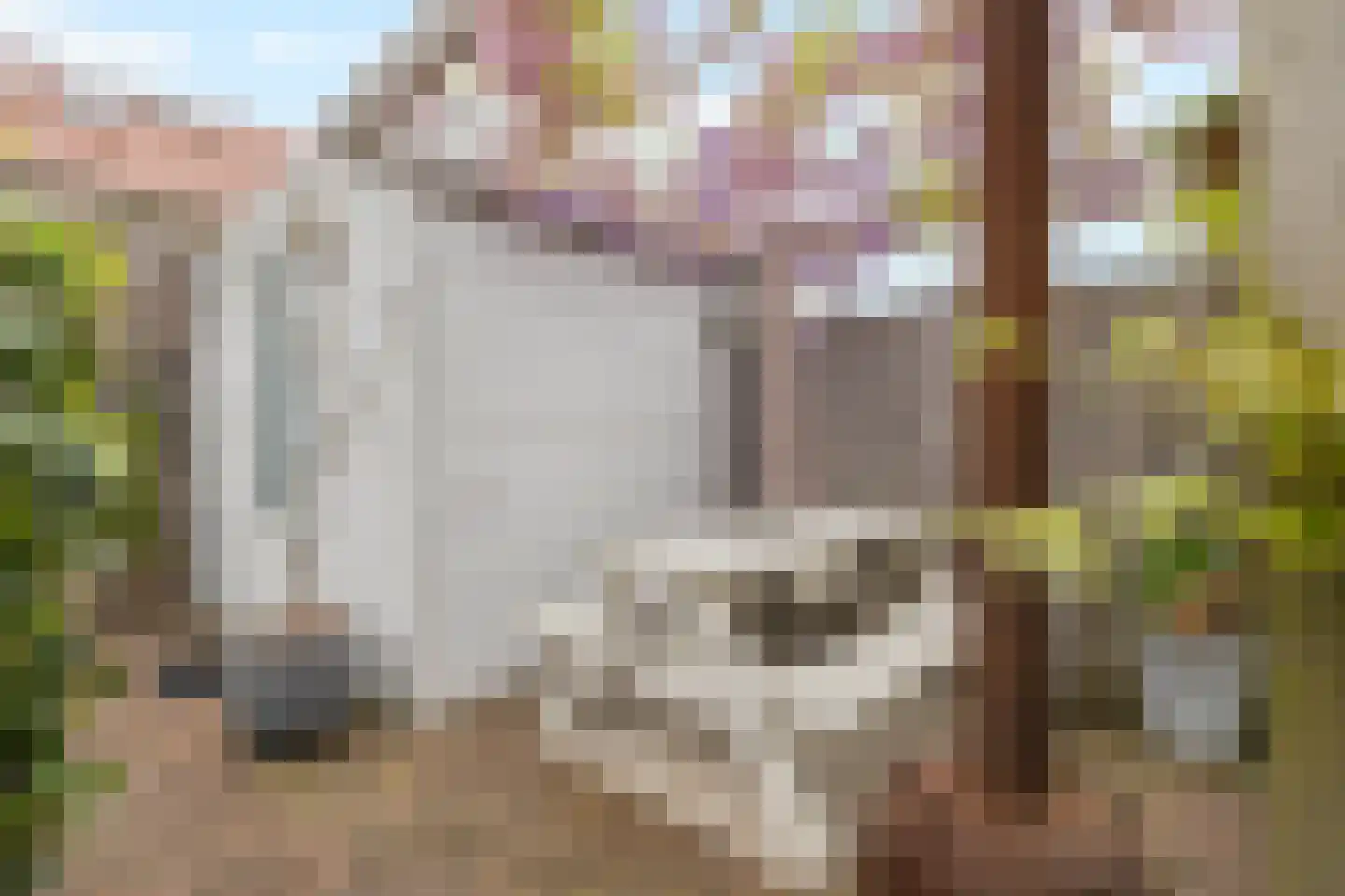 Notenhout 15 Julianadorp thumbnail 38
