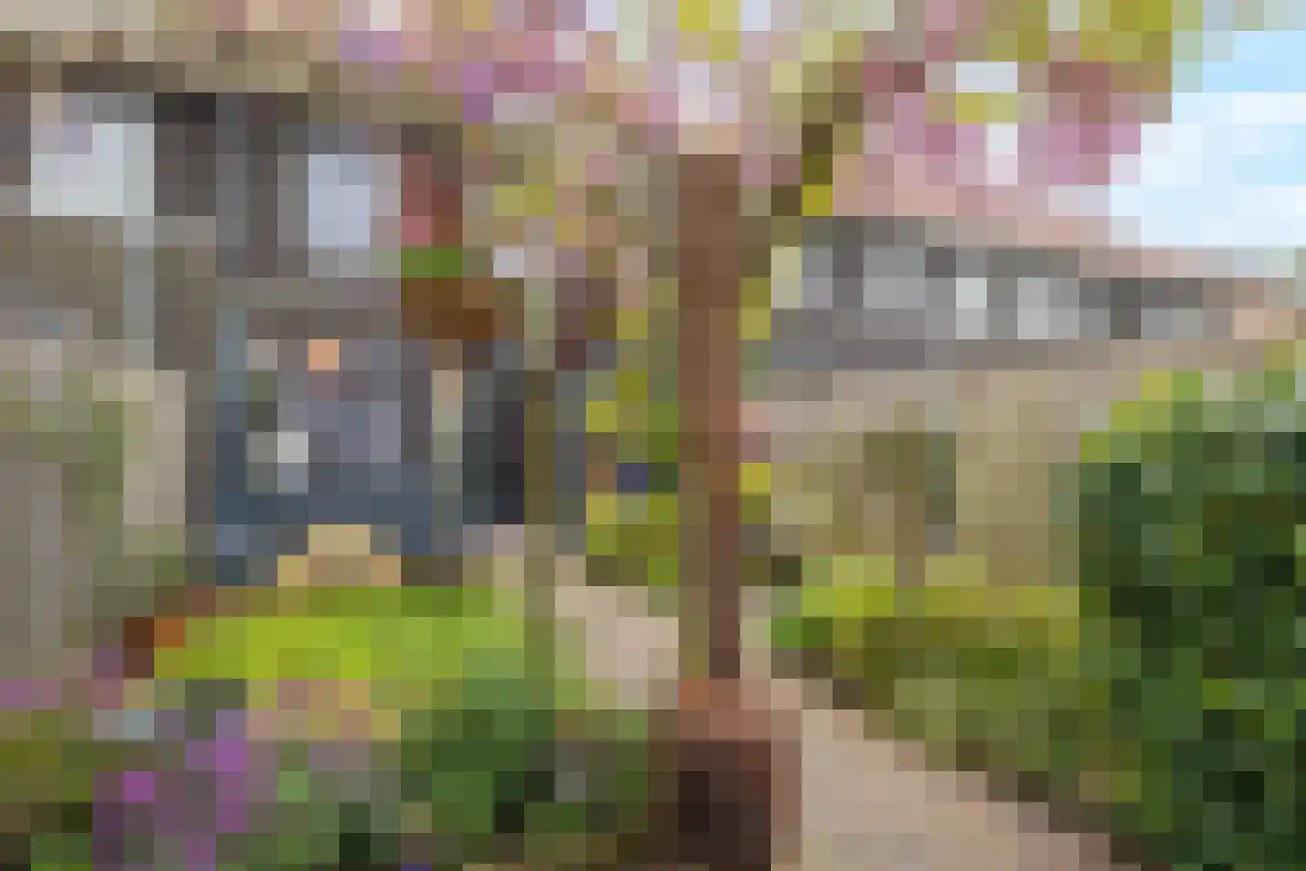 Notenhout 15 Julianadorp thumbnail 39