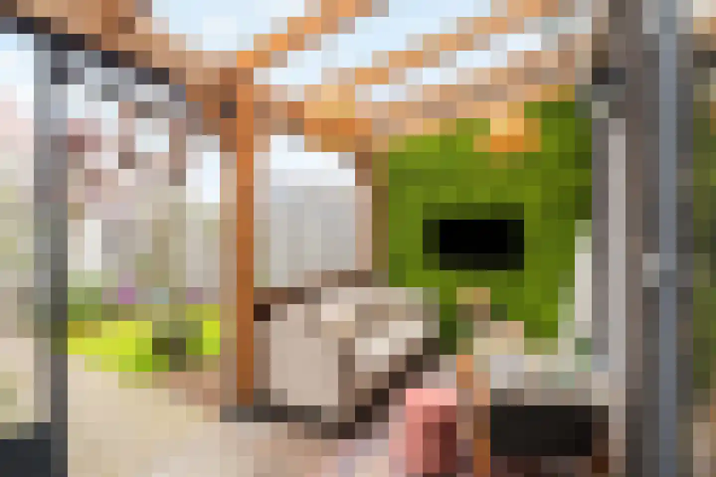 Notenhout 15 Julianadorp thumbnail 4