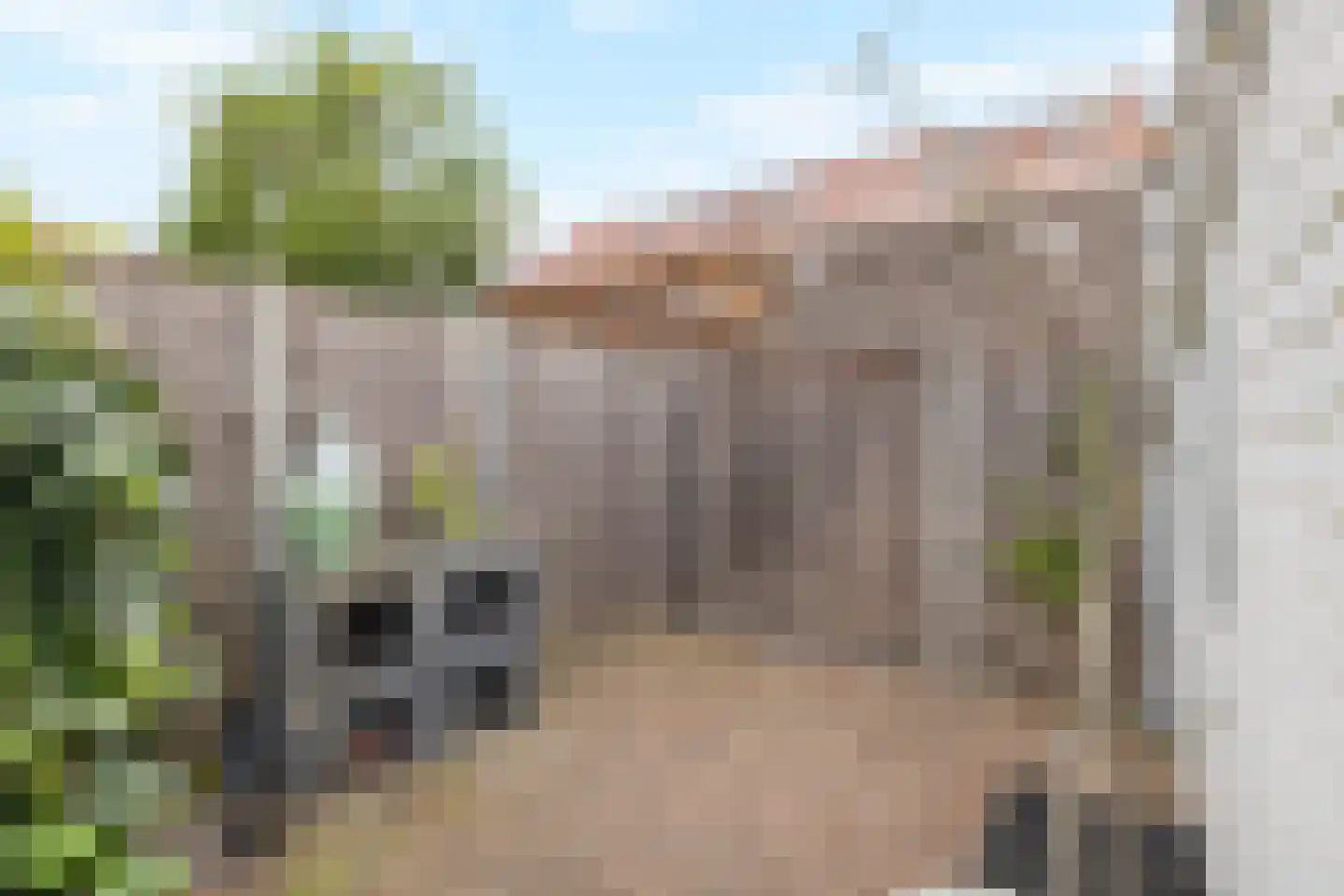 Notenhout 15 Julianadorp thumbnail 40