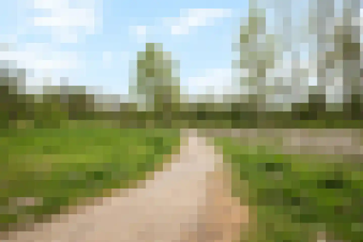 Notenhout 15 Julianadorp thumbnail 43