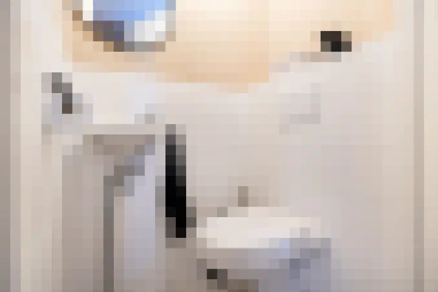 Notenhout 15 Julianadorp thumbnail 9