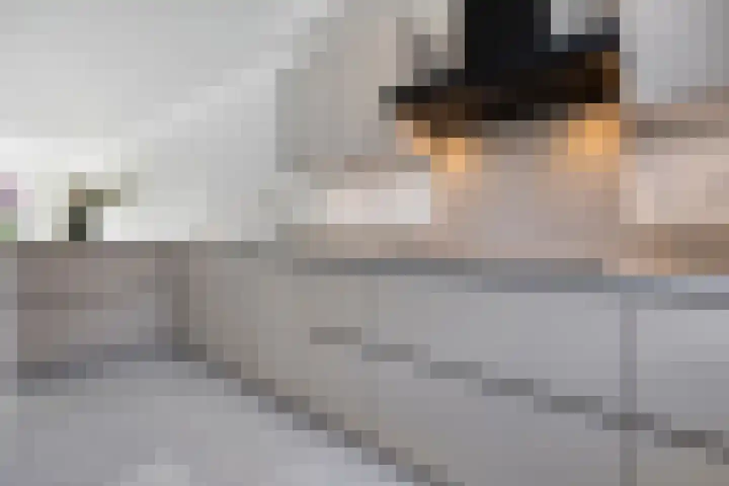 Notenhout 19 Waddinxveen thumbnail 17