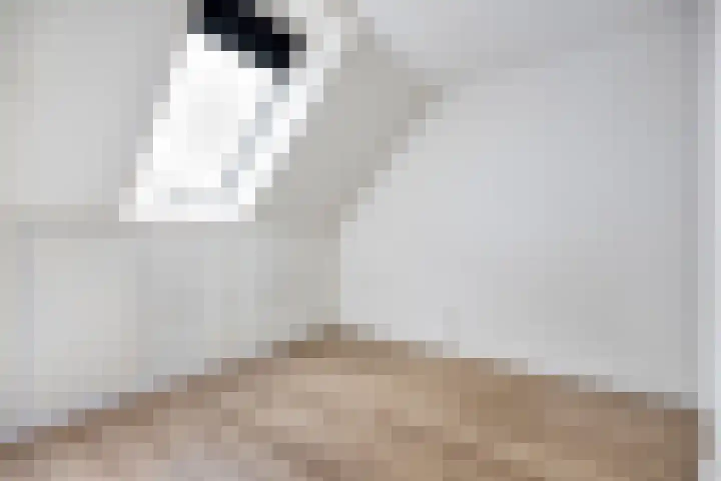 Notenhout 19 Waddinxveen thumbnail 33