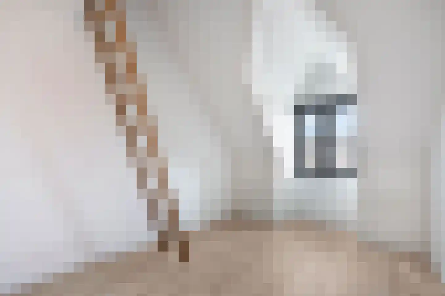 Notenhout 19 Waddinxveen thumbnail 35