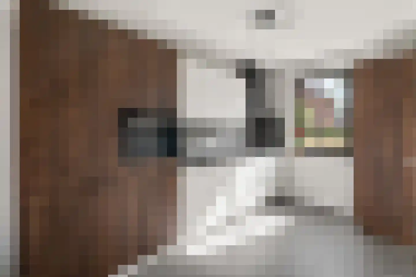 Notenhout 22 Waddinxveen thumbnail 10
