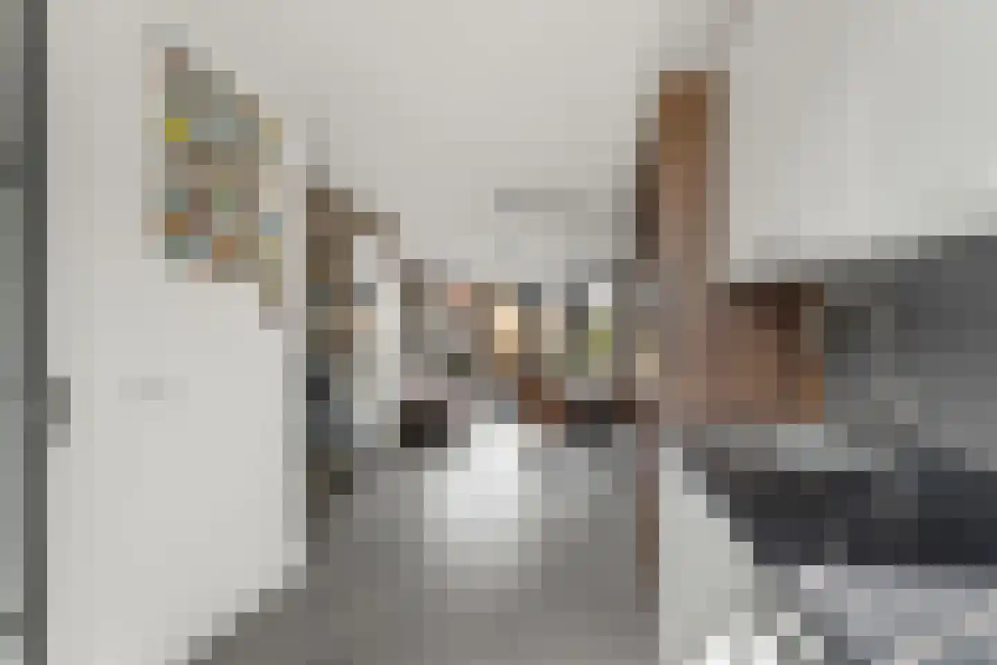 Notenhout 22 Waddinxveen thumbnail 12