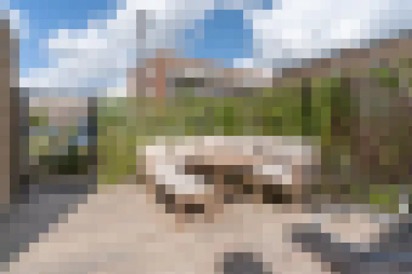 Notenhout 22 Waddinxveen thumbnail 14
