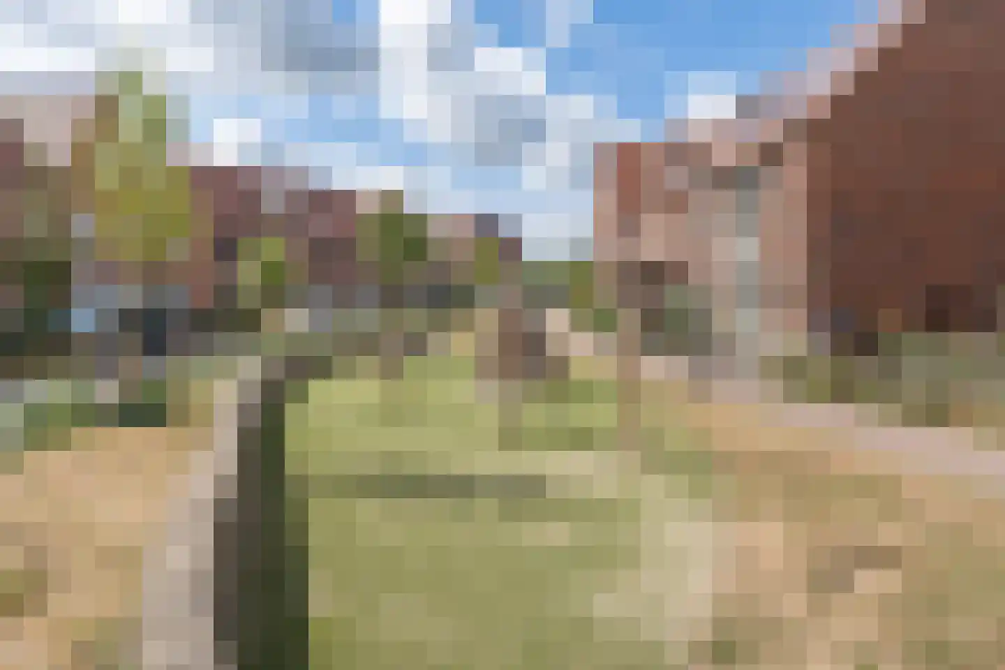 Notenhout 22 Waddinxveen thumbnail 30