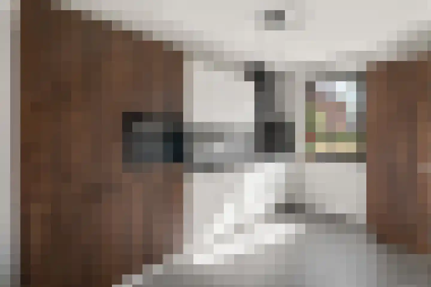 Notenhout 22 Waddinxveen thumbnail 6
