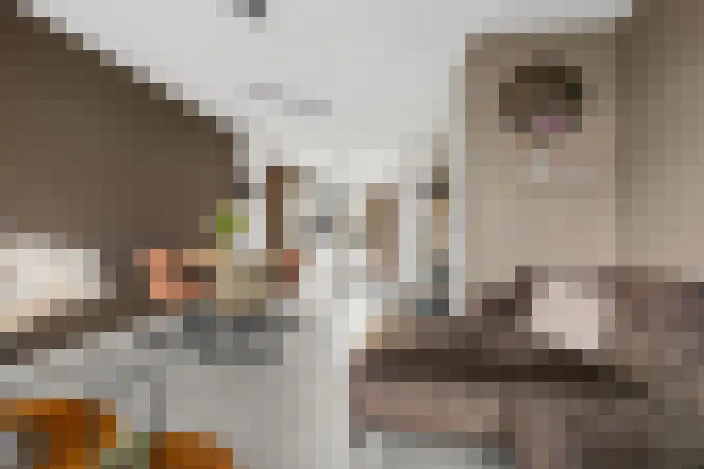 Notenhout 22 Waddinxveen thumbnail 9