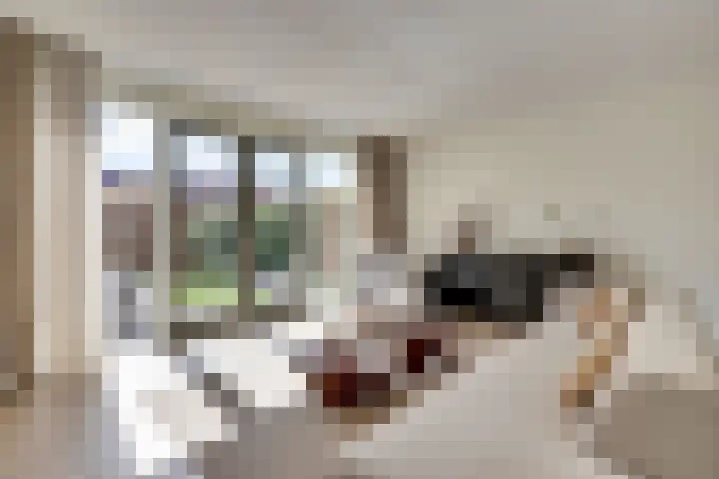 Notenhout 23 Waddinxveen thumbnail 10