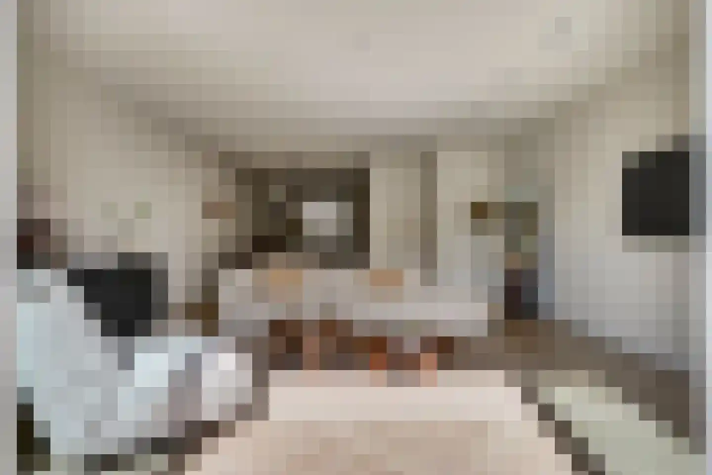 Notenhout 23 Waddinxveen thumbnail 12