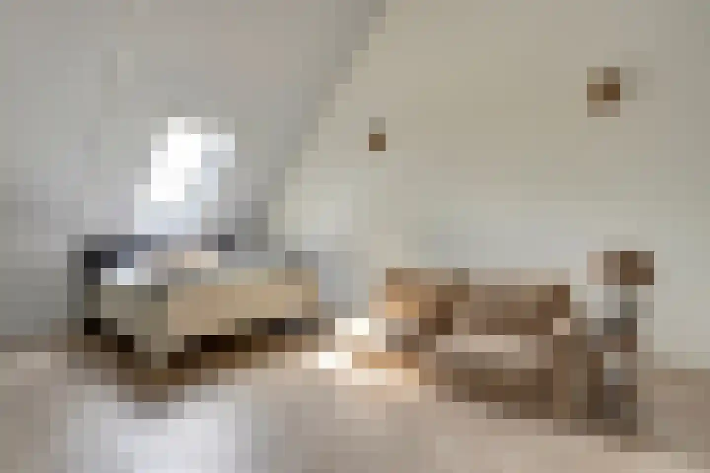 Notenhout 23 Waddinxveen thumbnail 28