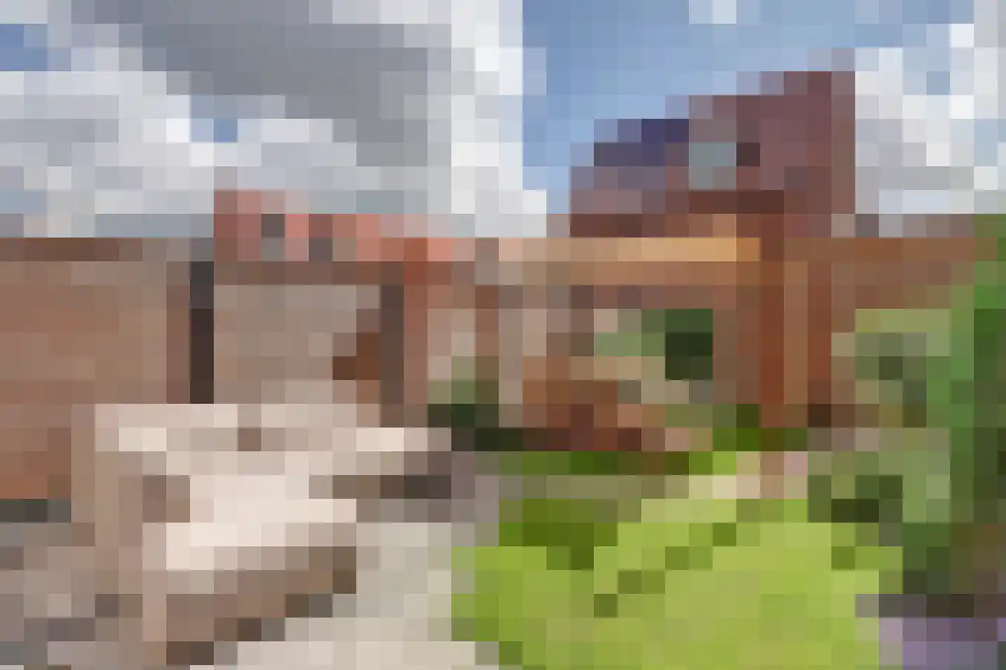 Notenhout 23 Waddinxveen thumbnail 33