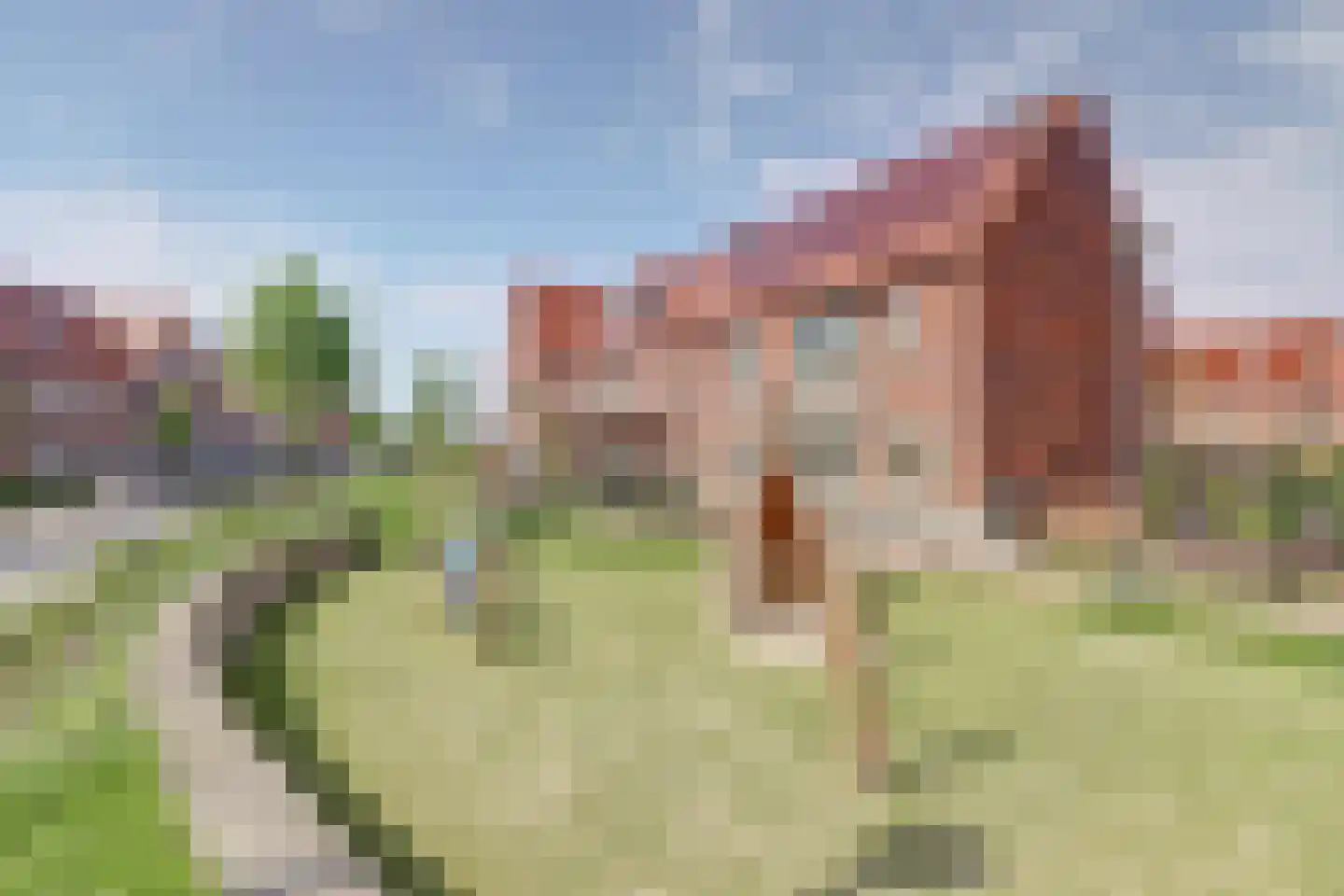 Notenhout 23 Waddinxveen thumbnail 41