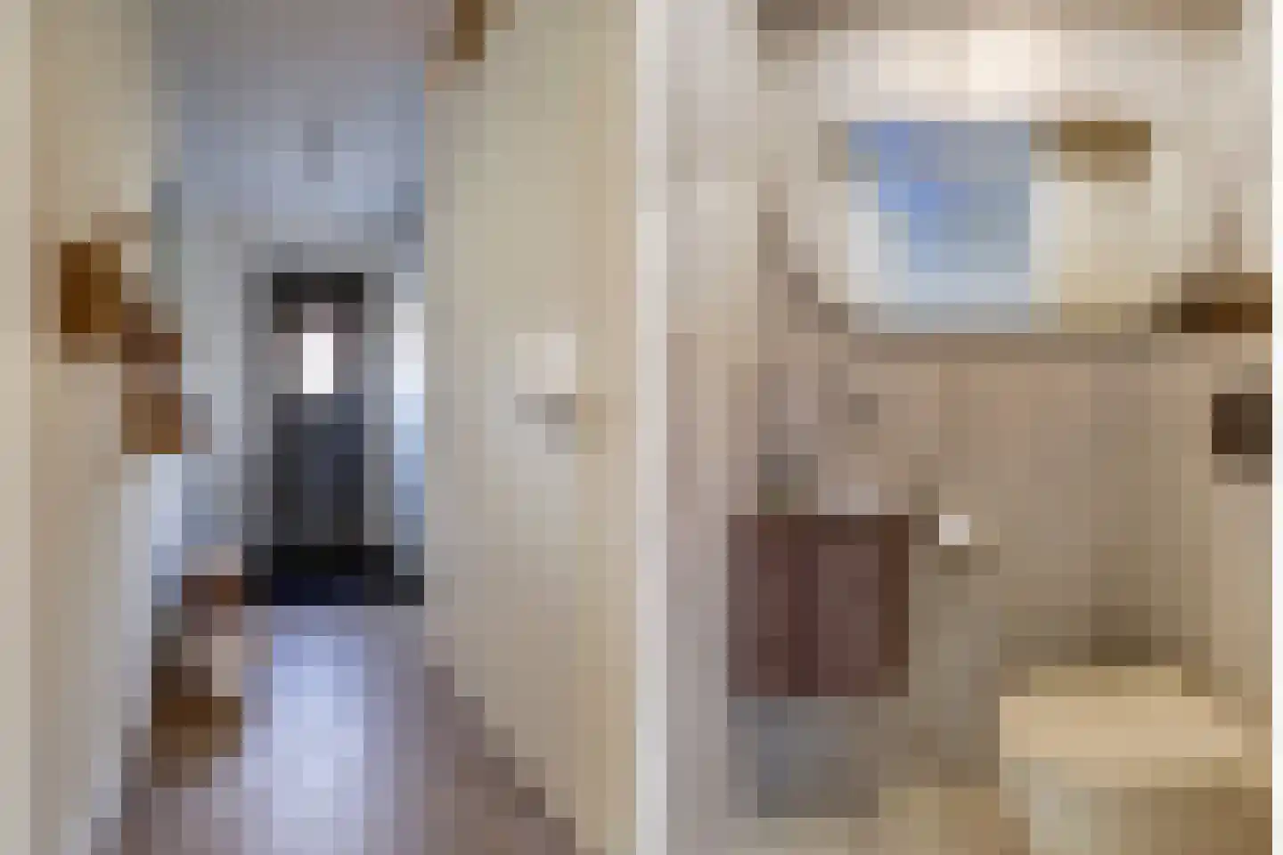 Notenhout 23 Waddinxveen thumbnail 7