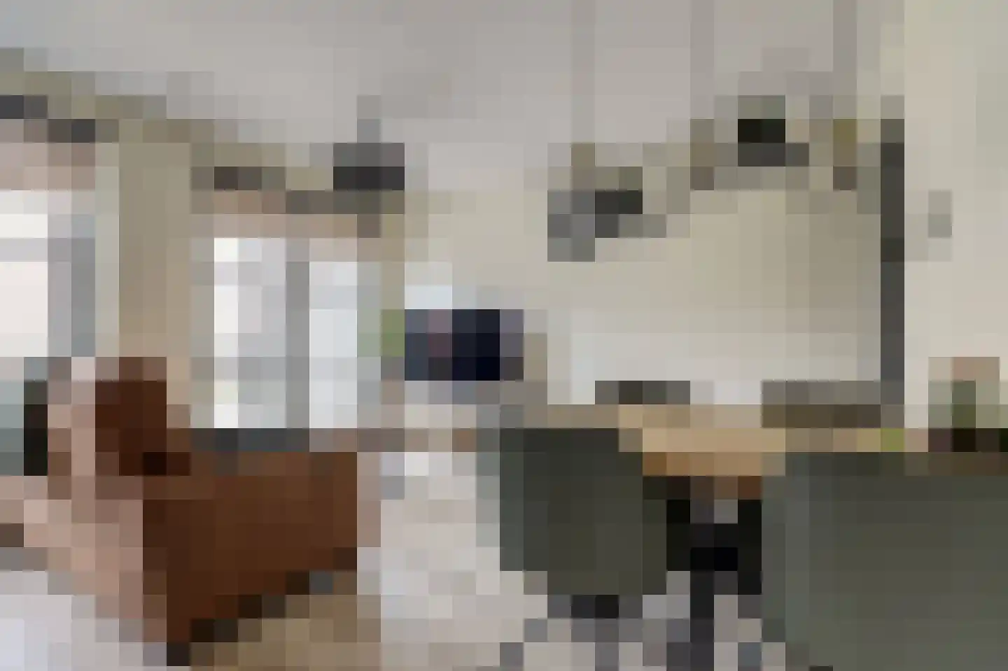 Notenhout 24 Waddinxveen thumbnail 12