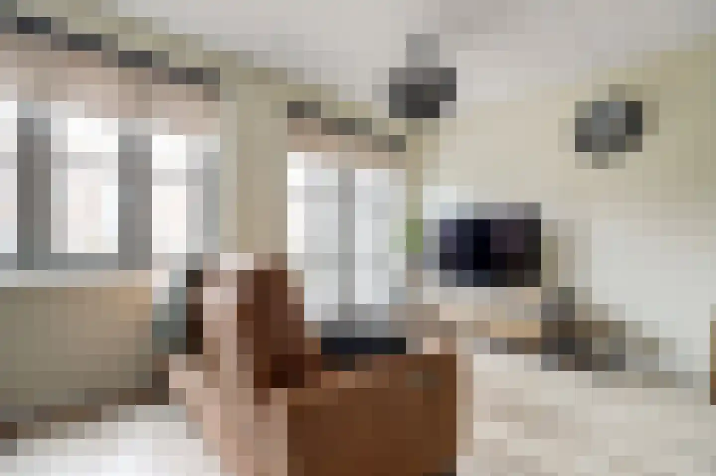 Notenhout 24 Waddinxveen thumbnail 13
