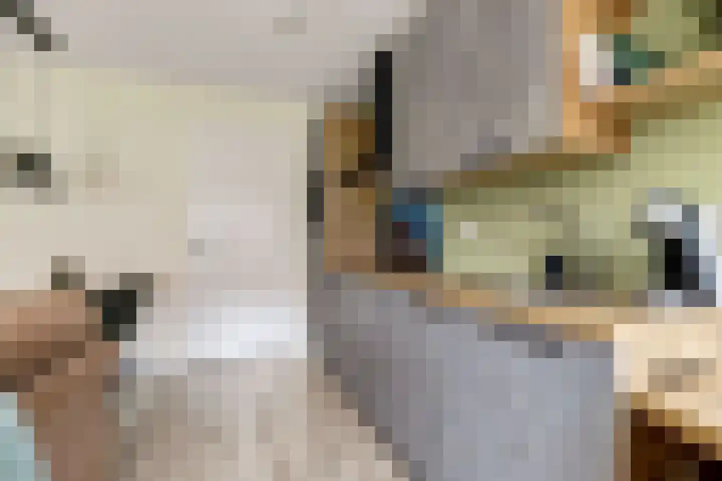 Notenhout 24 Waddinxveen thumbnail 16