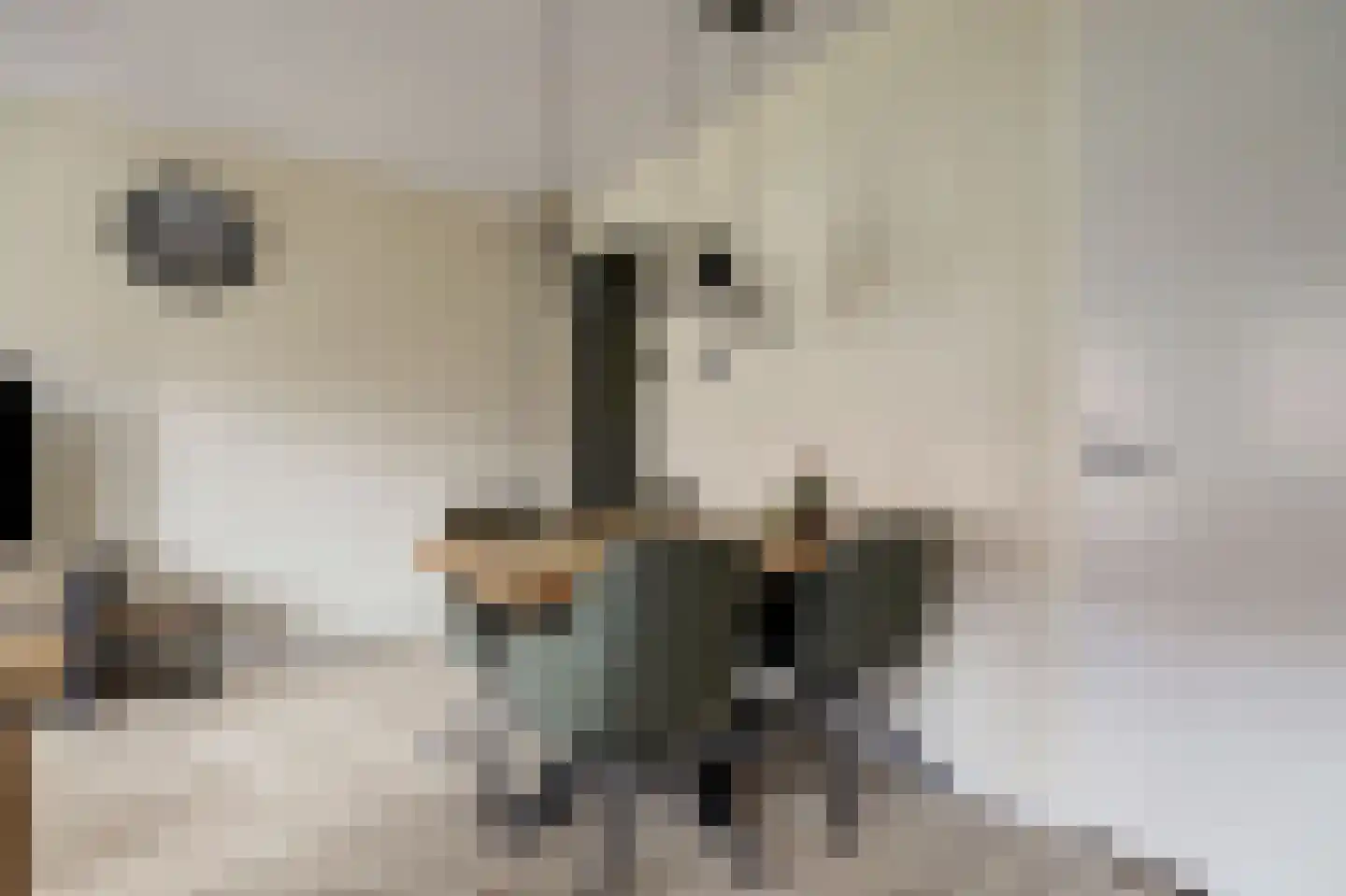 Notenhout 24 Waddinxveen thumbnail 17