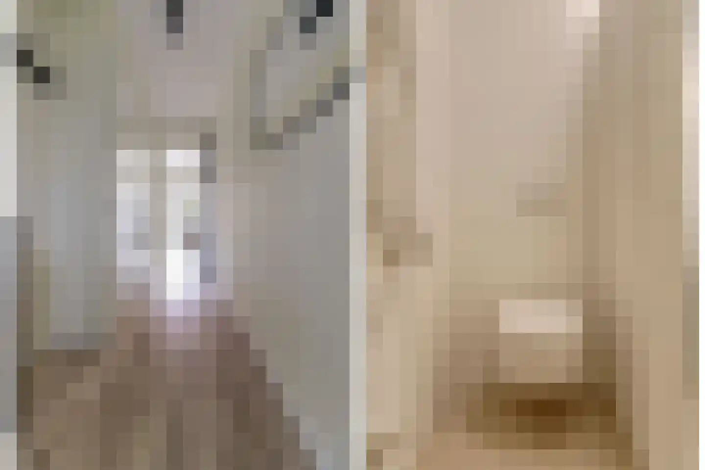 Notenhout 24 Waddinxveen thumbnail 8