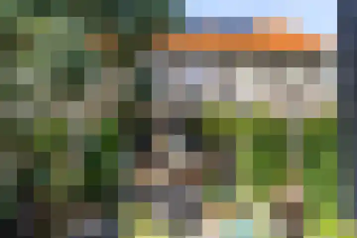 Notenhout 25 B Julianadorp thumbnail 11